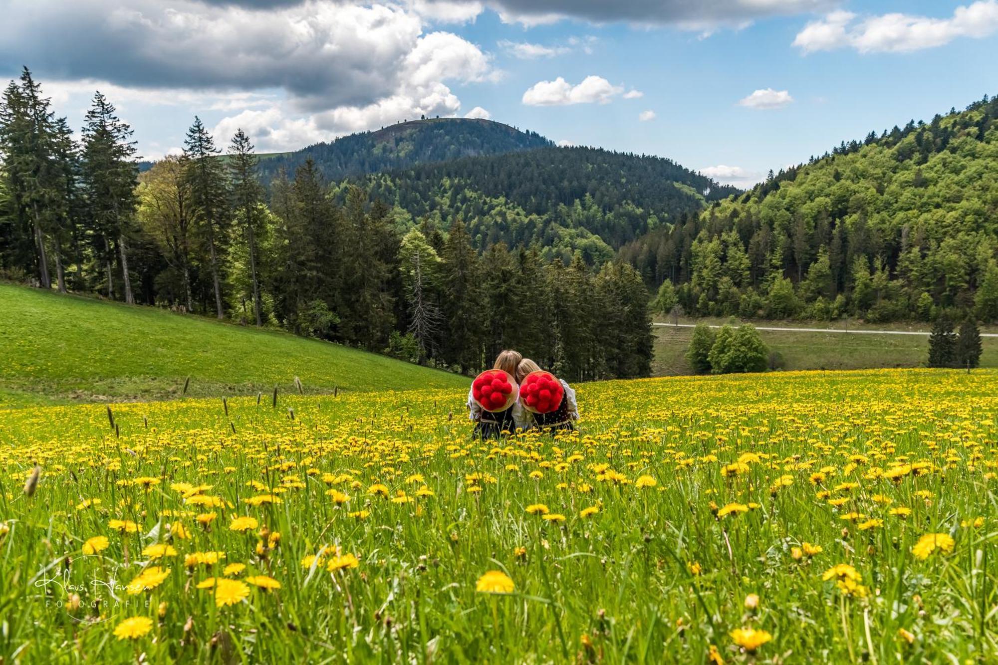 Schwarzwaldhaus Sonnenstrasse, Oberried-Hofsgrund, Dreisamtal Villa Oberried  Eksteriør bilde