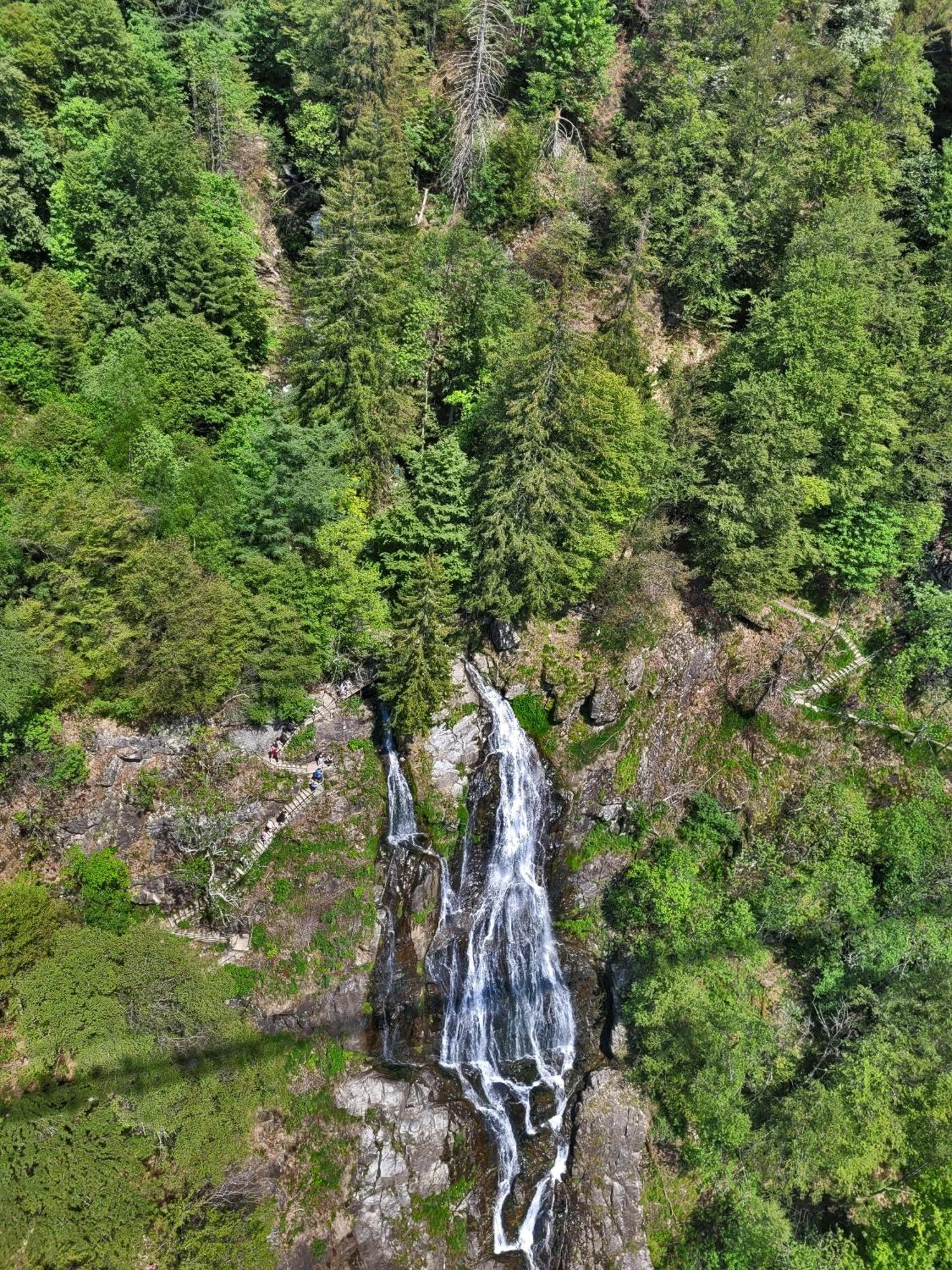 Schwarzwaldhaus Sonnenstrasse, Oberried-Hofsgrund, Dreisamtal Villa Oberried  Eksteriør bilde